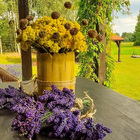 Przytulisko Hébergement de vacances