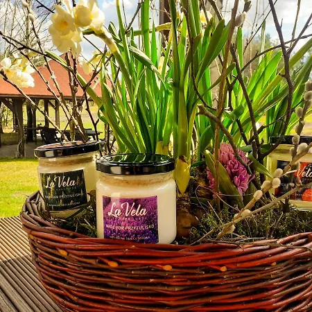 Przytulisko Hébergement de vacances *