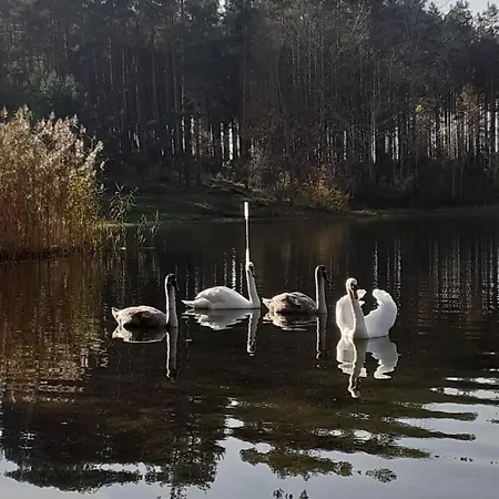 Przytulisko Hébergement de vacances