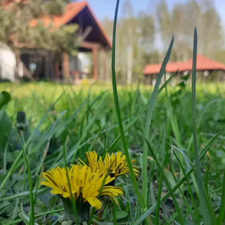 Przytulisko Hébergement de vacances Stara Kiszewa