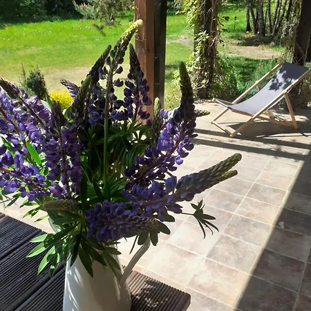 Hébergement de vacances Przytulisko Stara Kiszewa