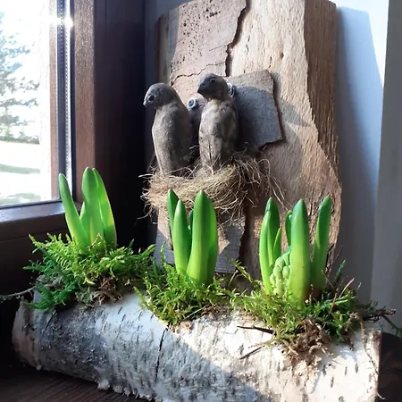 Przytulisko * Stara Kiszewa