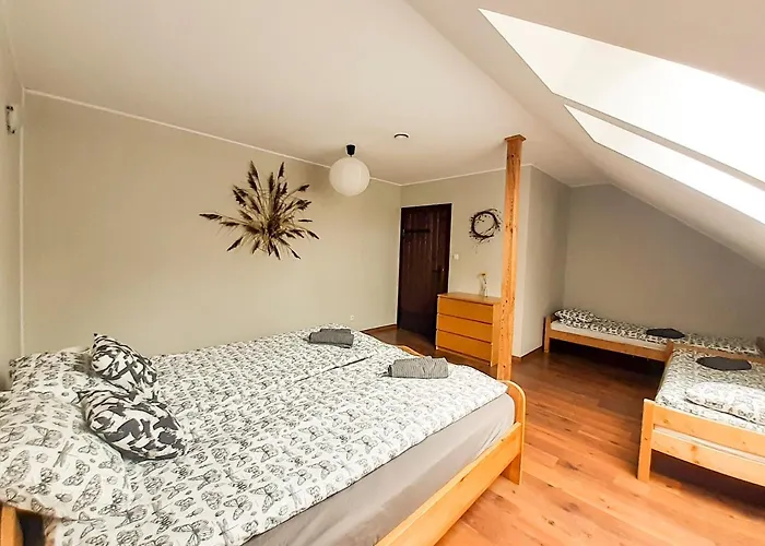 Przytulisko * Stara Kiszewa