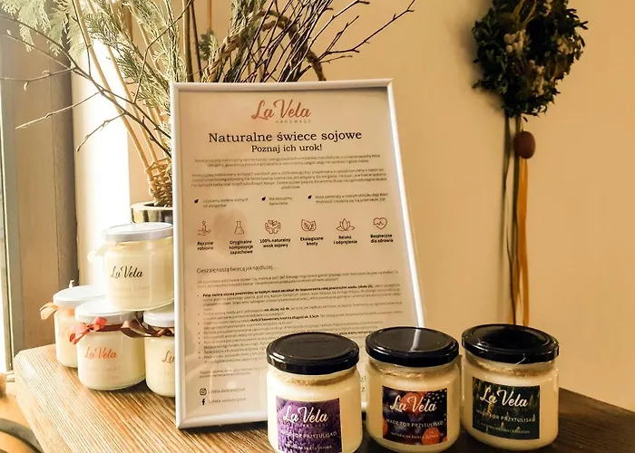 Przytulisko Stara Kiszewa