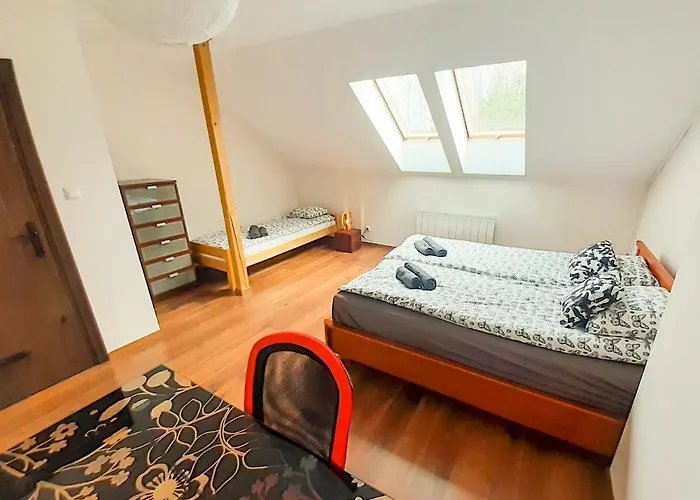 Przytulisko * Stara Kiszewa