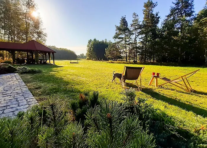 Przytulisko * Stara Kiszewa