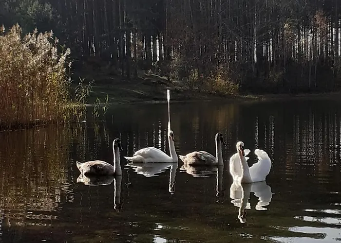 Przytulisko Hébergement de vacances