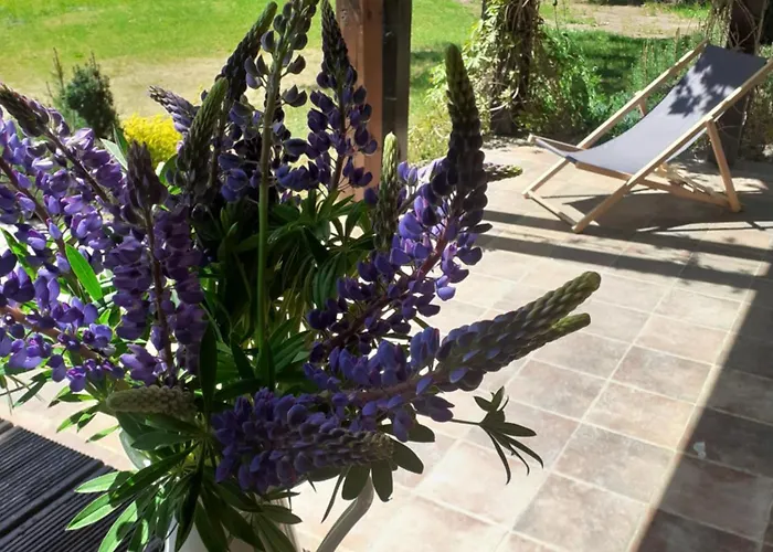 Hébergement de vacances Przytulisko Stara Kiszewa