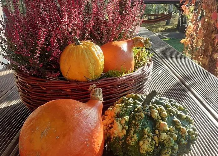 Przytulisko Semesterbostad