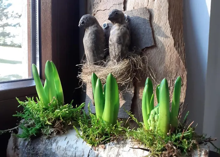 Przytulisko * Stara Kiszewa